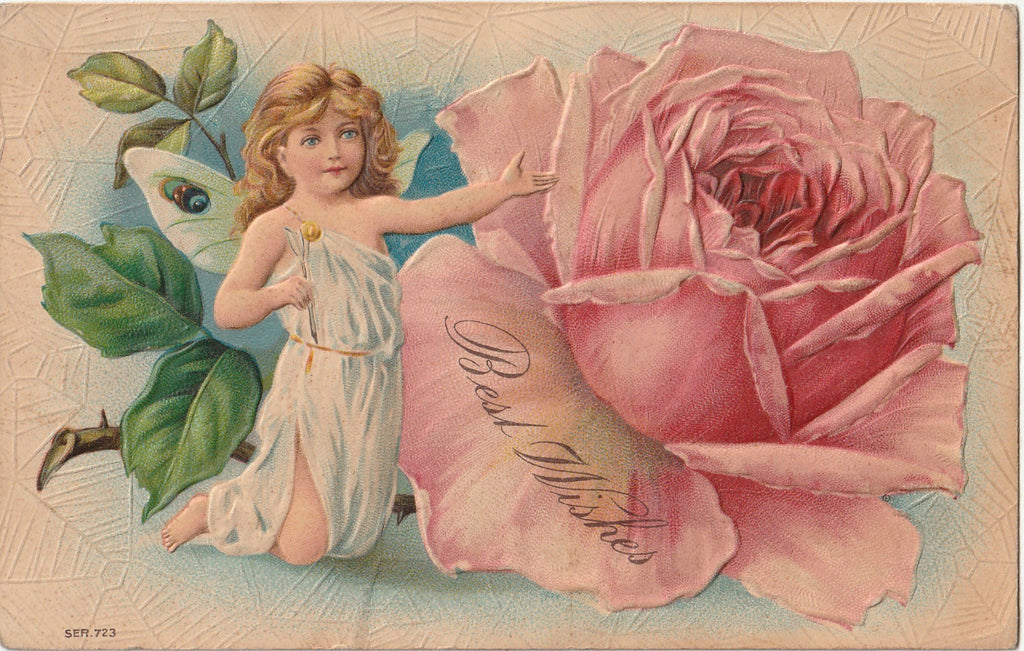 Best Wishes Fairy - Rose and Spiderweb - Fantasy Postcard, c. 1900s