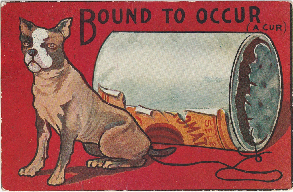 Bound to Occur ( A Cur ) - English Boxer Dog - Visual Pun - Postcard, c. 1900s