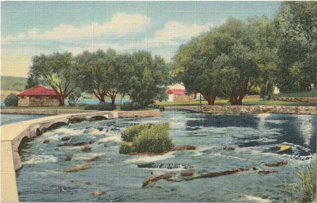 Giant Springs - Great Falls, Montana - Postcard, c. 1950s