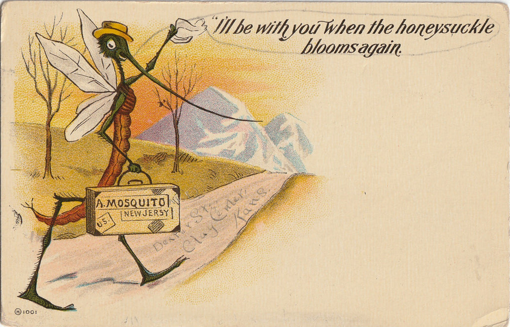 I'll Be With You When The Honeysuckle Blooms Again - Mosquito - Postcard, c. 1900s