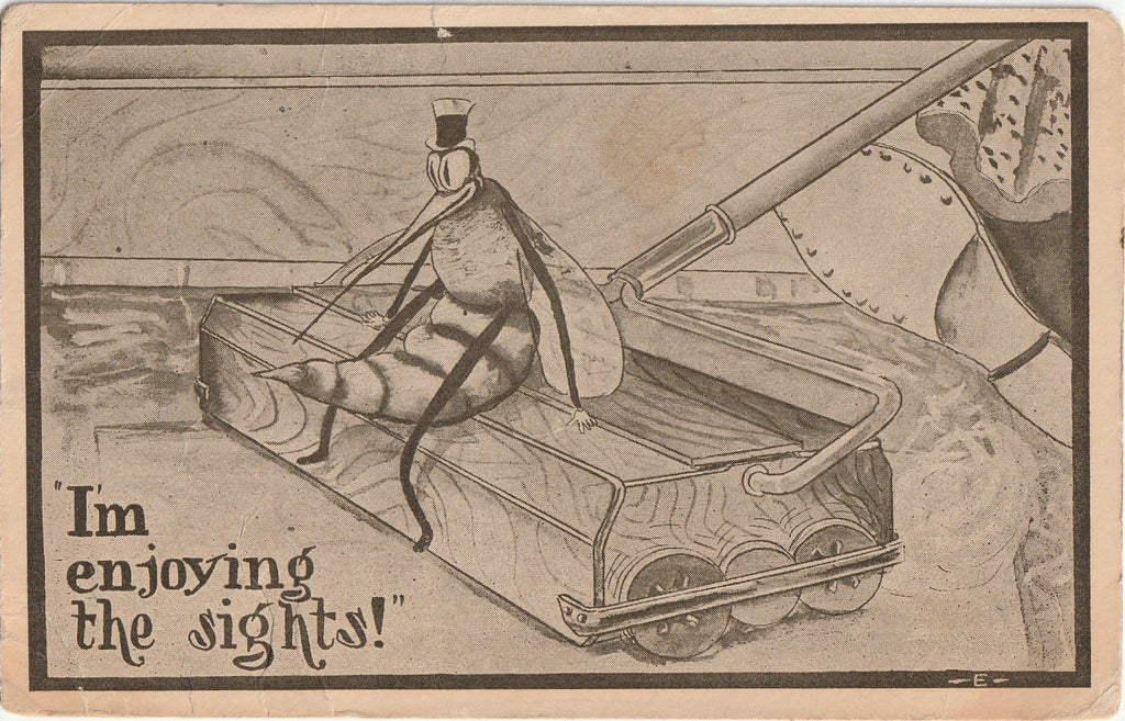 I'm Enjoying the Sights! - Mosquito Riding Floor Sweeper - Postcard, c. 1910s