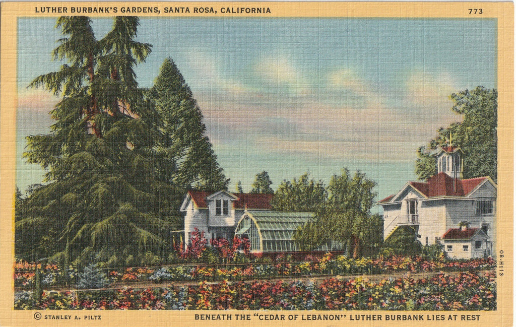 Luther Burbank's Gardens - Santa Rosa, California - Postcard, c. 1930s