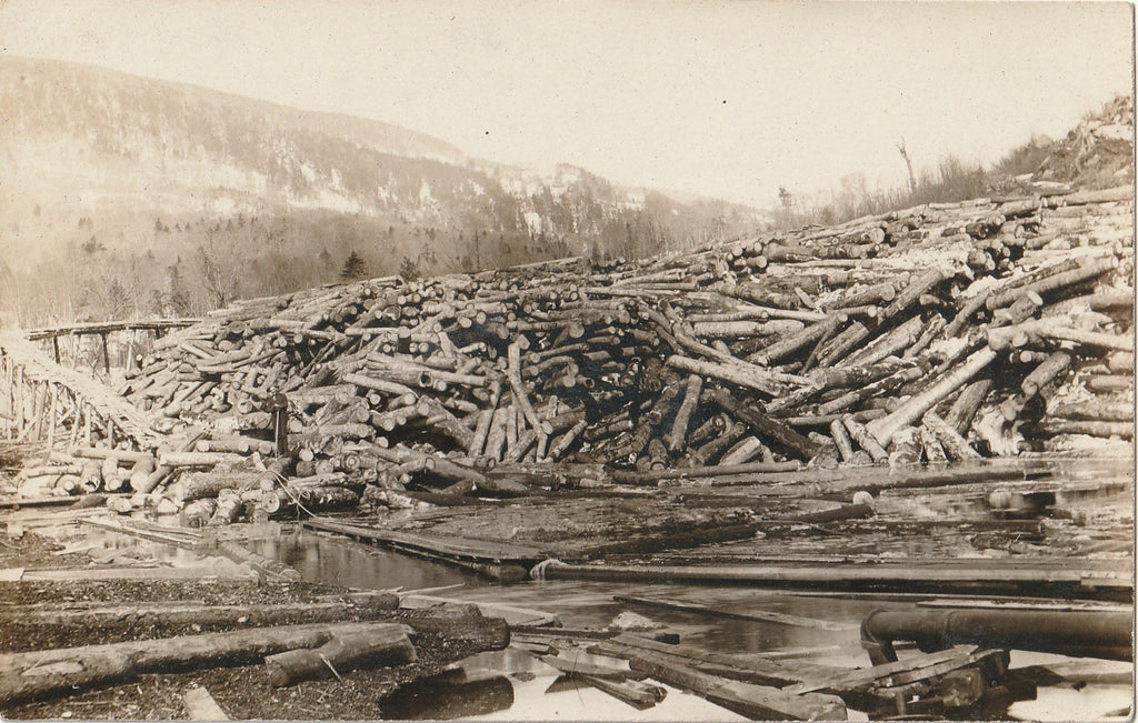 Massive Log Pile - Lumber Industry - RPPC, c. 1900s