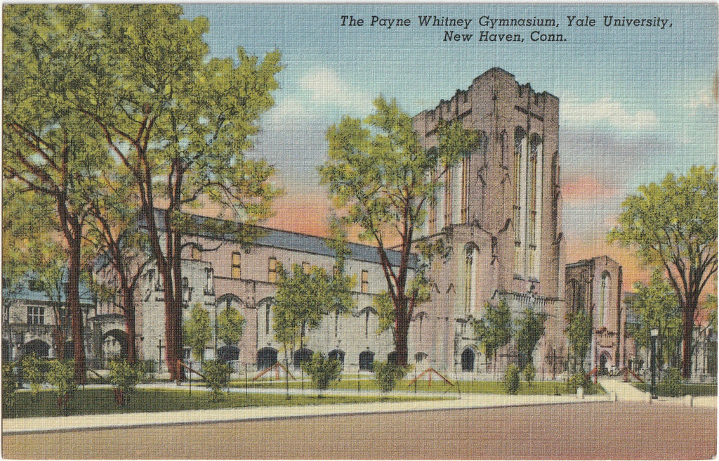 Payne Whitney Gymnasium - Yale University - New Haven, CT - Postcard, c. 1940s