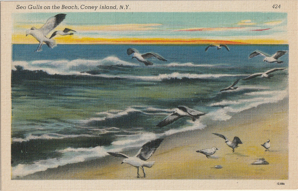 Sea Gulls on the Beach - Coney Island, New York - Postcard, c. 1940s
