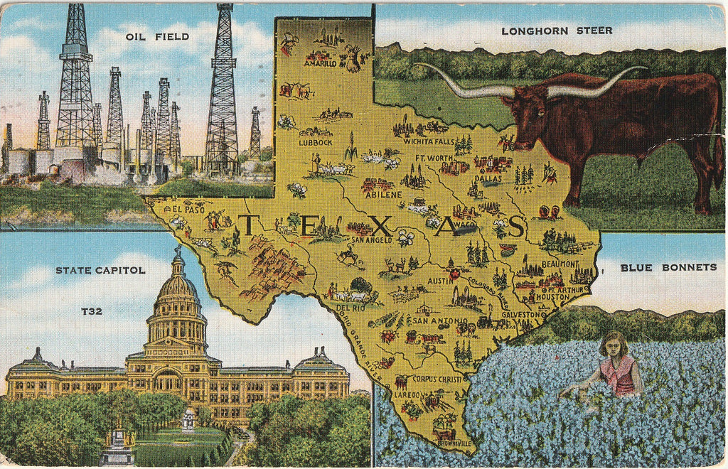 Souvenir Map of Texas - Oil Field - Longhorn Steer - State Capitol - Blue Bonnets - Postcard, c. 1950s