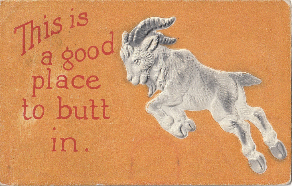 an original antique postcard from the 1900s. It shows an embossed billy goat, "This is a good place to butt in."
