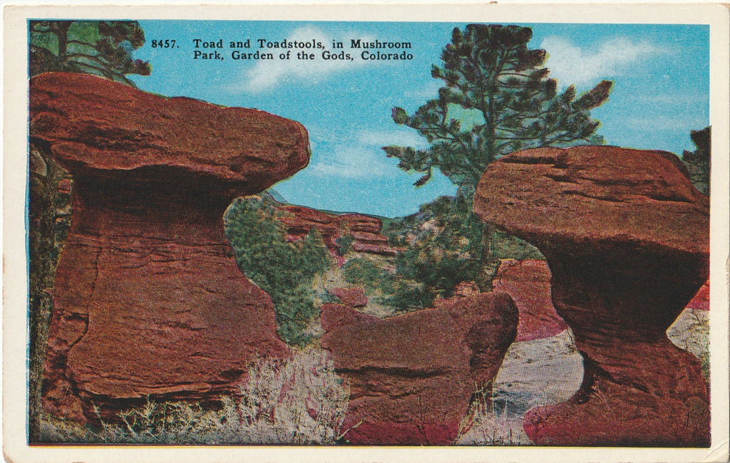 Toad and Toadstools in Mushroom Park - Garden of the Gods - Colorado Springs, CO - Postcard, c. 1910s