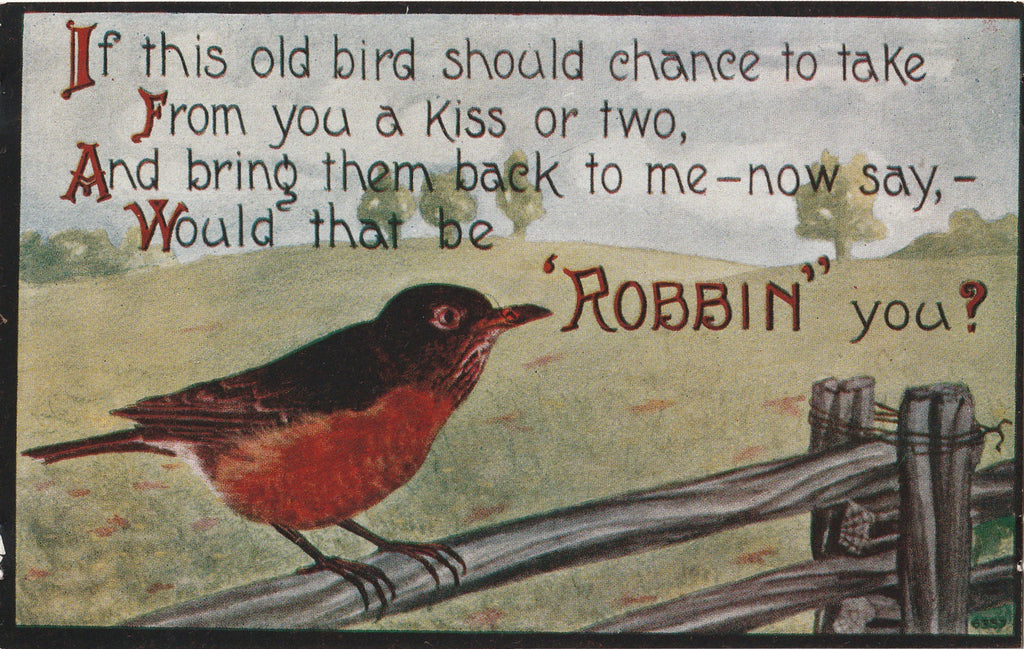 Would That Be Robbin You - Bird Pun - H. H. Tammen - Postcard, c. 1909