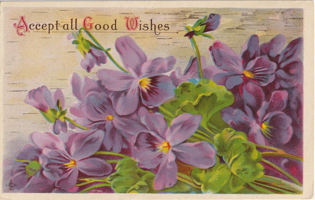 Accept All Good Wishes Postcard