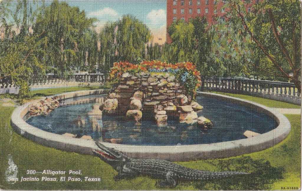 Alligator Pool - San Jacinto Plaza - El Paso, Texas - Postcard, c. 1940s