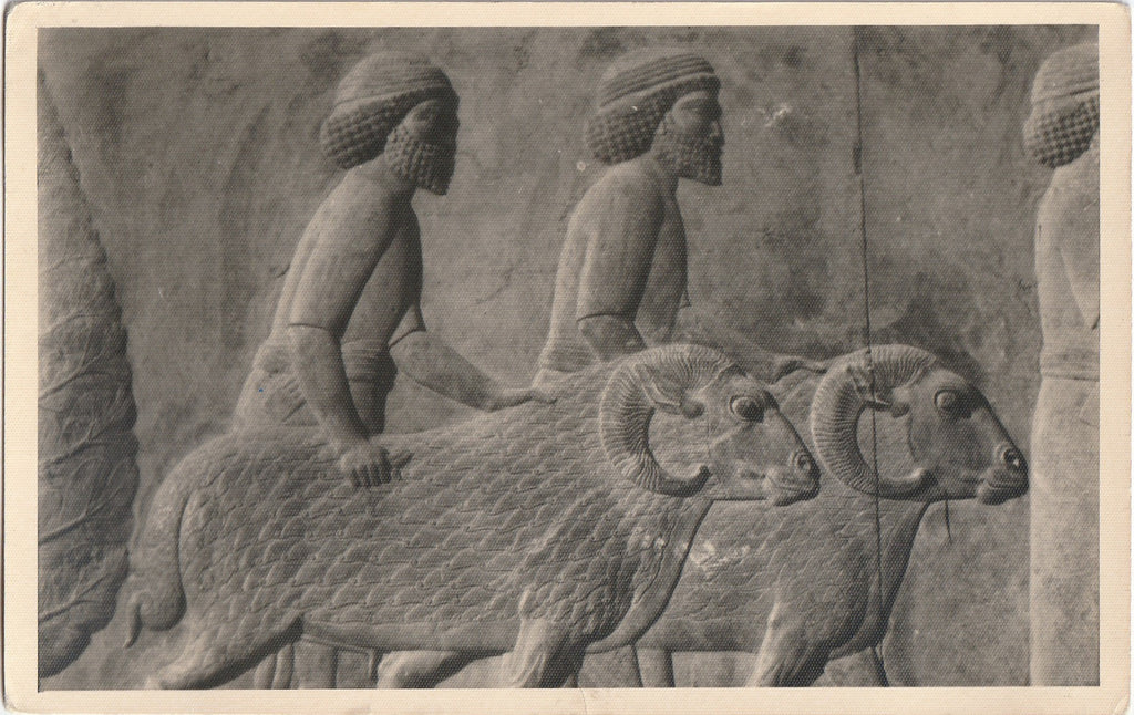 Ancient Syrians with Rams Relief- Persepolis, Apadana, East Stairs - RPPC
