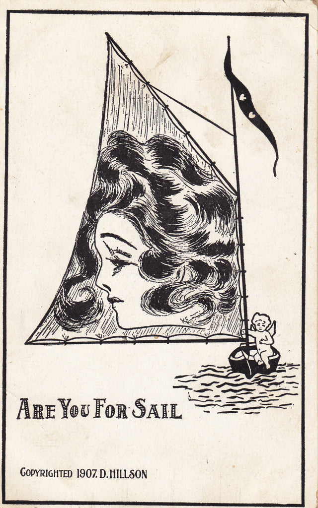 Are You For Sail D. Hillson Postcard