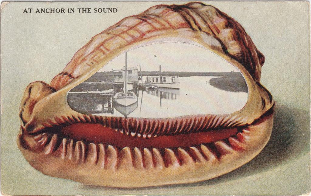 At Anchor in the Sound Seashell Antique Postcard