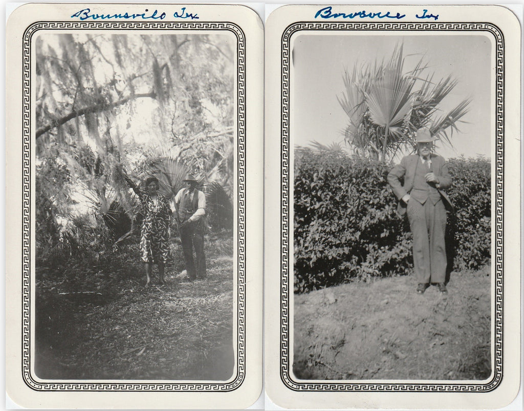 Brownsville, Texas Palm Trees - SET of 2 - Snapshots, c. 1930s