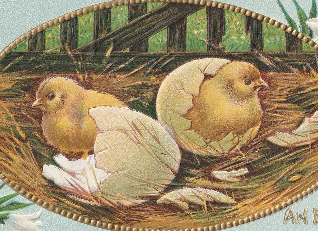 Easter Chicks in Nest Antique Postcard Close Up