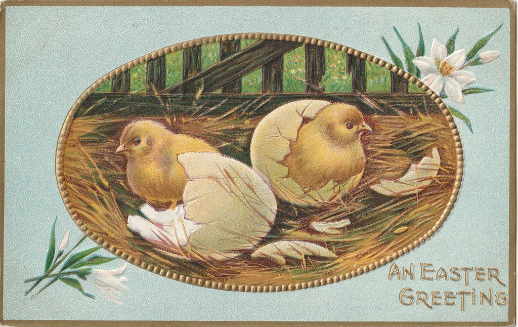 Easter Chicks in Nest Antique Postcard