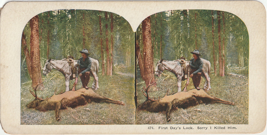 First Day's Luck, Sorry I Killed Him - Stereoview Card, c. 1900s