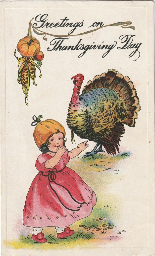 Greetings on Thanksgiving Day Postcard