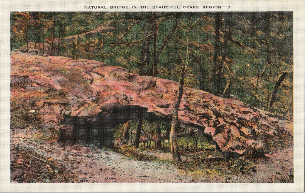 Natural Bridge Ozark Region Vintage Postcard