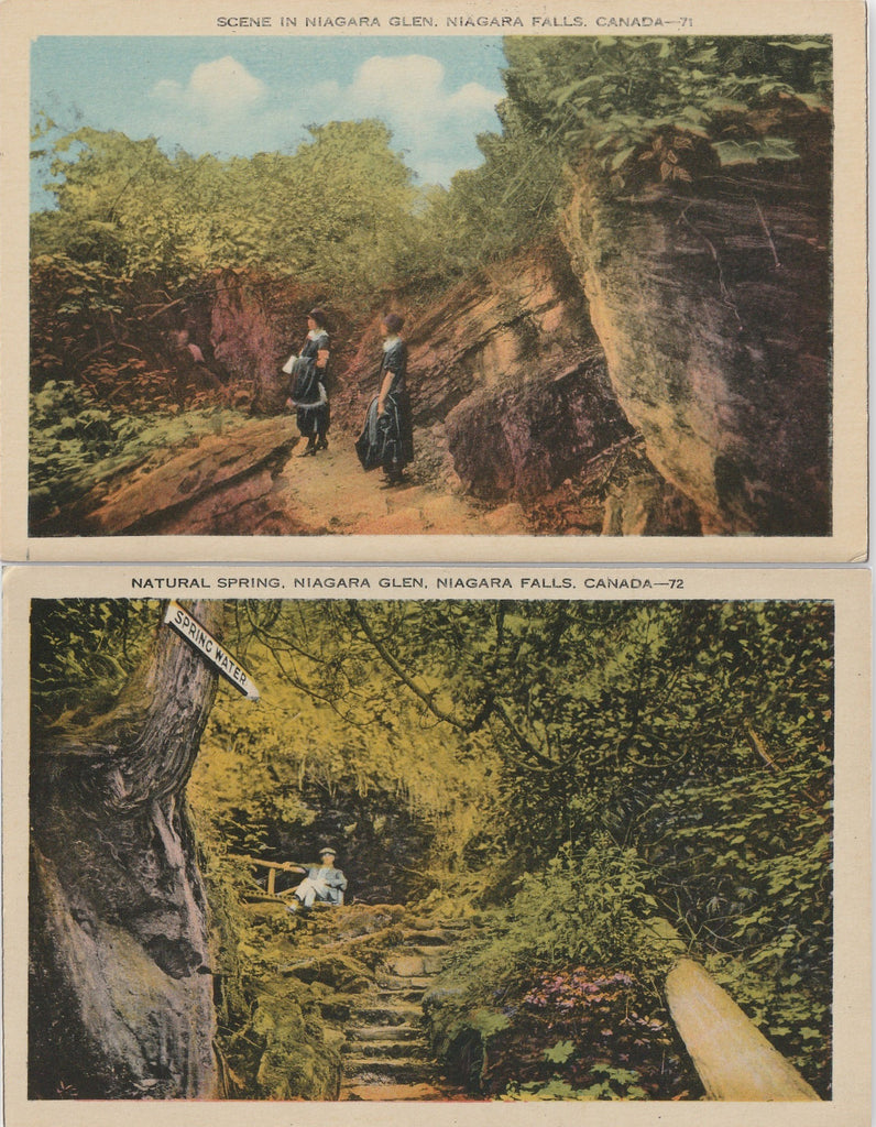  Niagra Glen Niagara Falls Canada Postcards