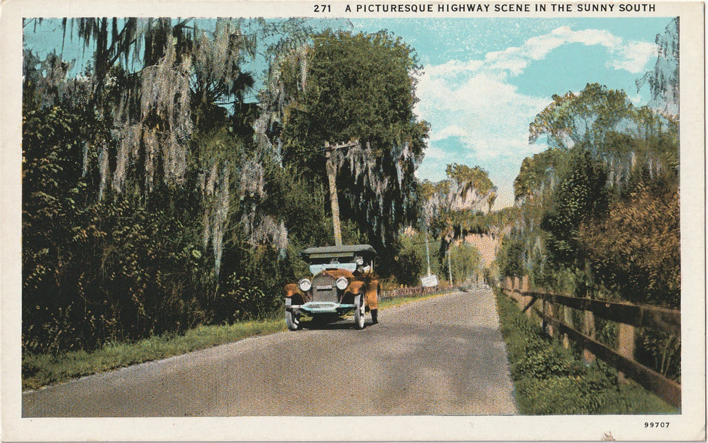 Picturesque Highway Scene in Sunny South Postcard