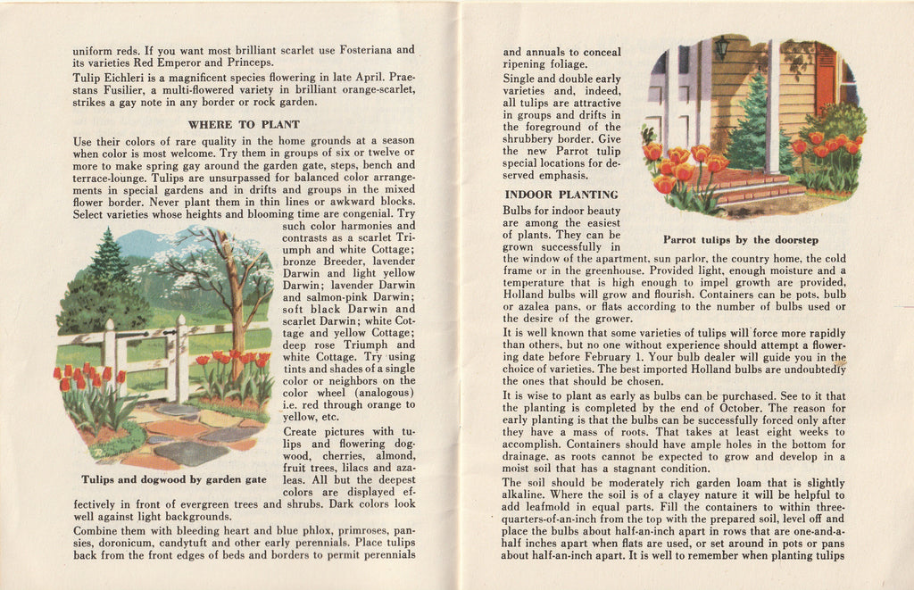 Plant Bulbs in the Fall for Flowers in Spring - Blue Book Company - General Motors Information Rack Service - Booklet, c. 1950s Inside 2