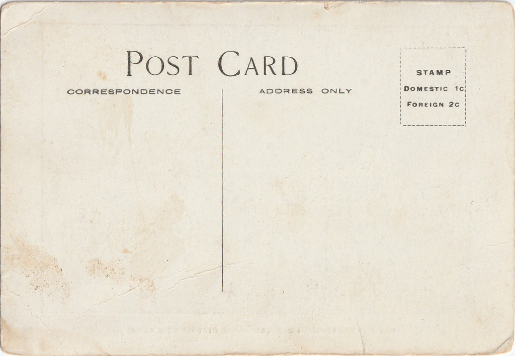 Presbyterian Hospital New York City Antique Postcard Back