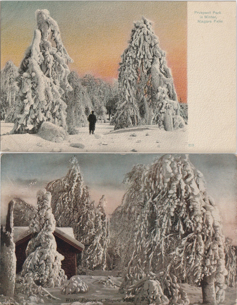 Prospect Park Niagara Falls in Winter Antique Postcards 