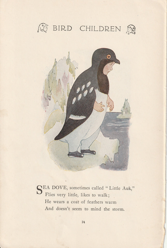 Sea Dove - Bird Children Book Page- Elizabeth Gordon - M. T. Ross- Print, c. 1912