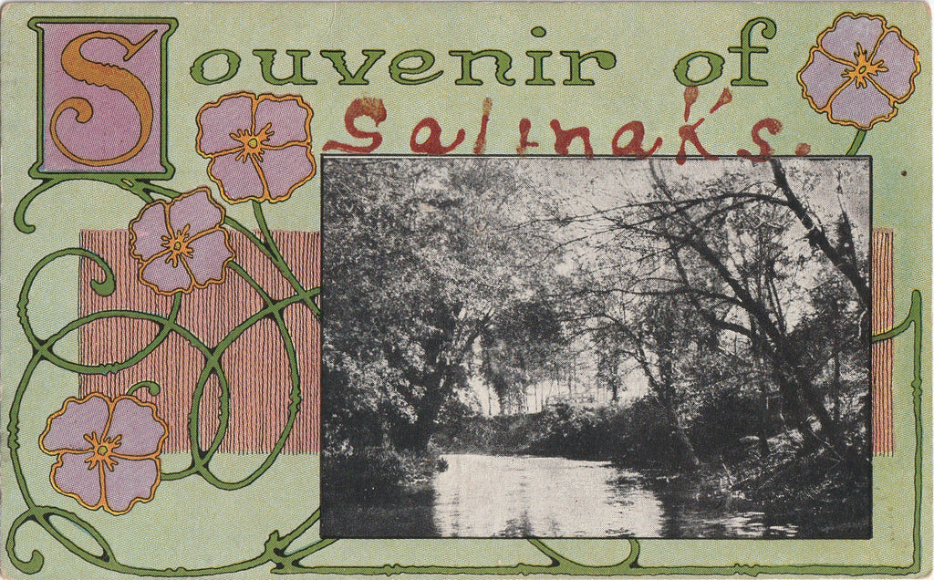 Souvenir of Salina Kansas Postcard