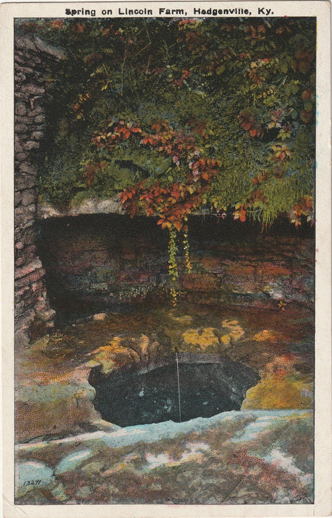 Spring on Lincoln Farm - Hodgenville, KY - Postcard, c. 1920s