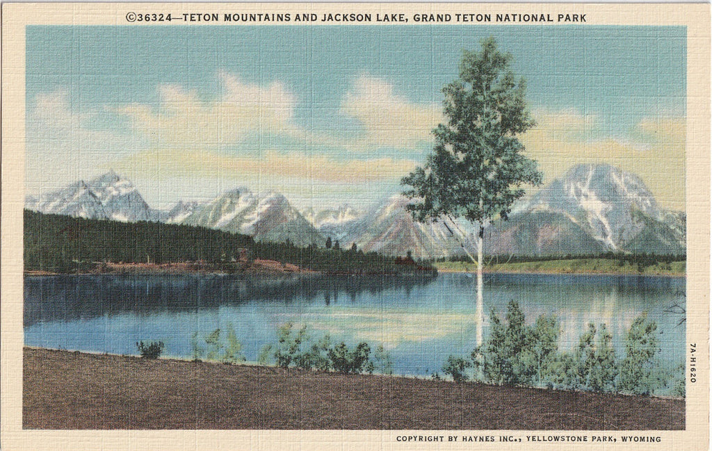Teton Mountains Jackson Lake Yellowstone Postcard