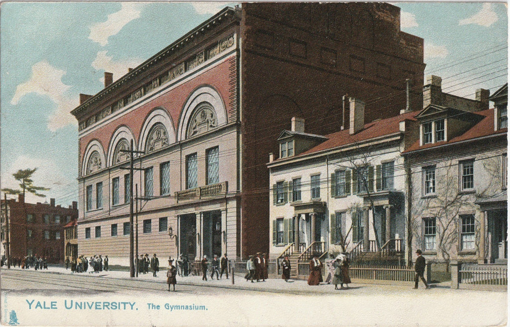 The Gymnasium, Yale University - New Haven, Connecticut - Postcard, c. 1900s