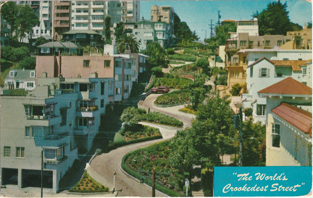 The World's Crookedest Street San Francisco California Postcard