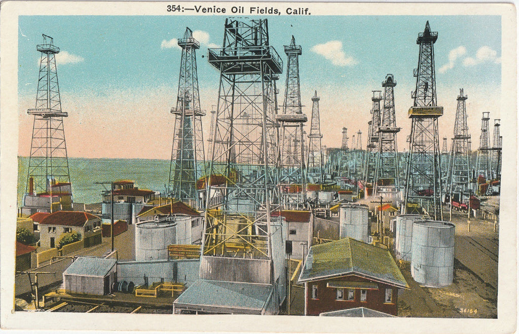Venice Oil Fields, California - Postcard, c. 1920s