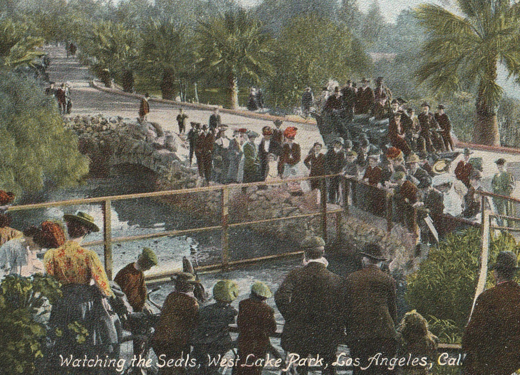 Watching Seals West Lake Park Los Angeles Antique Postcard Close Up