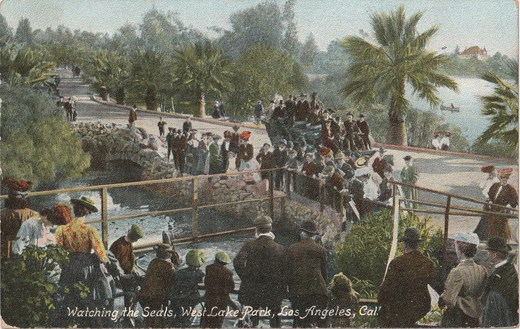 Watching Seals West Lake Park Los Angeles Antique Postcard