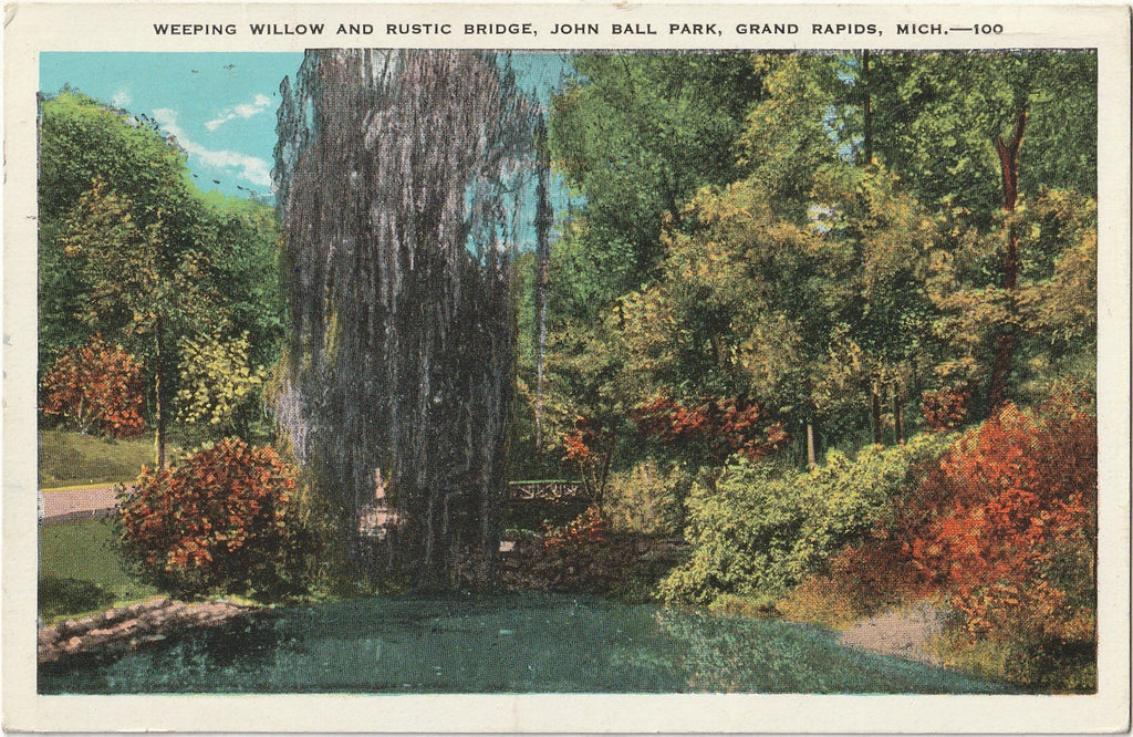 Weeping Willow and Rustic Bridge - John Ball Park - Grand Rapids, MI - Postcard, c. 1930s