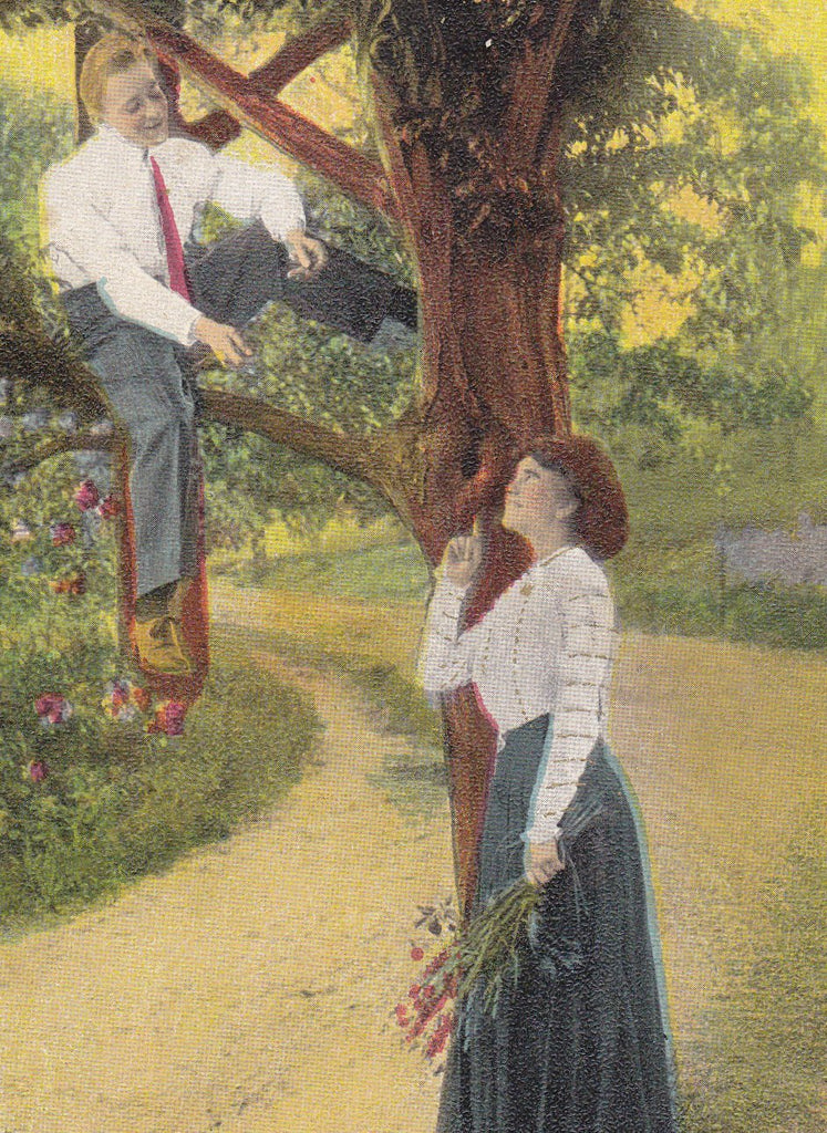 Love Nest- 1910s Antique Postcard- Edwardian Romance- Climbing Tree- Love Art Comic- Nesting Couple- Used