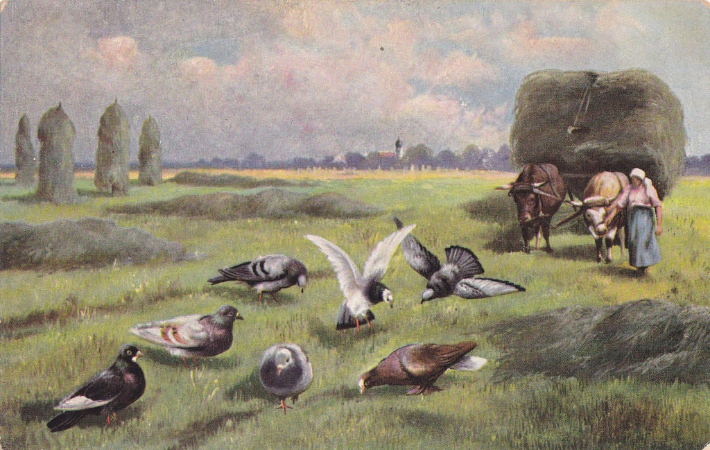Monster Pigeons- 1900s Antique Postcard- Strange Perspective- Giant Birds- Weird- Strange- German American Novelty Art- Unused