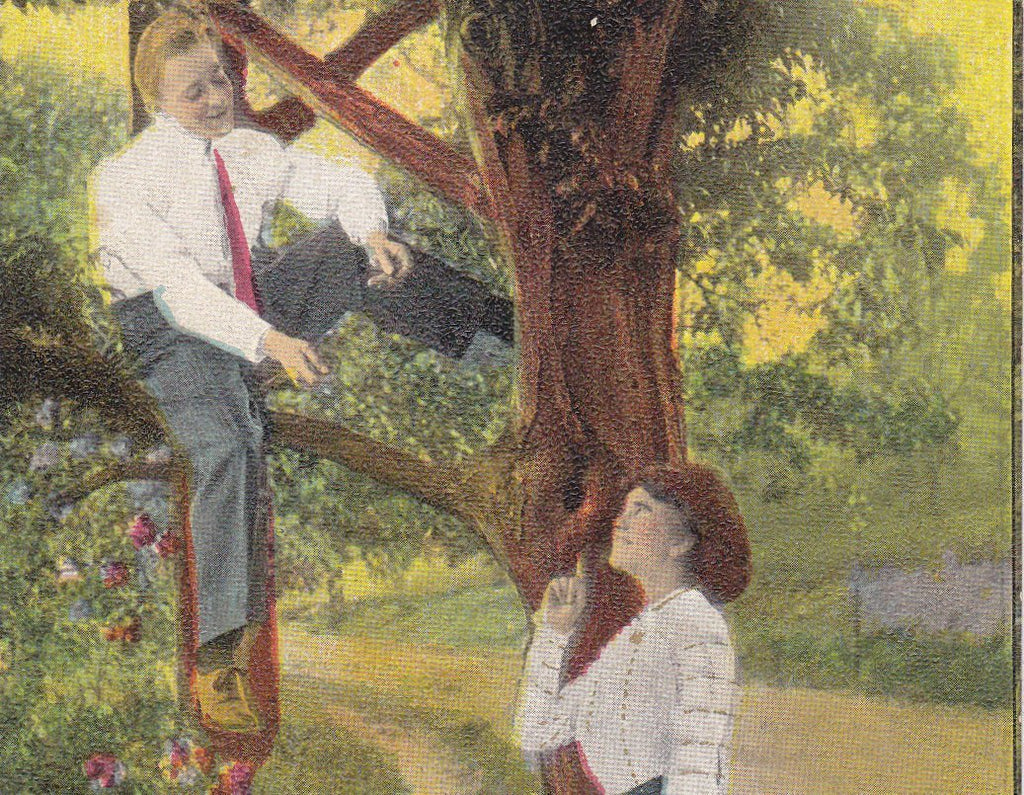 Love Nest- 1910s Antique Postcard- Edwardian Romance- Climbing Tree- Love Art Comic- Nesting Couple- Used