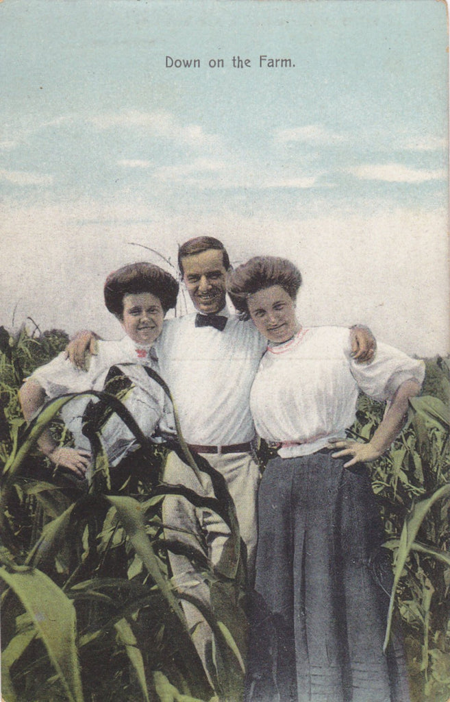 Down on the Farm- 1900s Antique Postcard- Trio of Friends- Edwardian Romance- Cornfield- Gibson Girls- Artino Post Card- Unused
