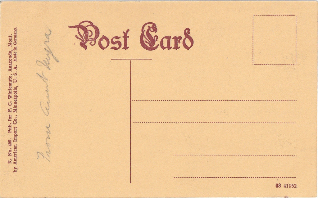 A Coyote at Bay - F. C. Wintemute - Postcard, c. 1900s