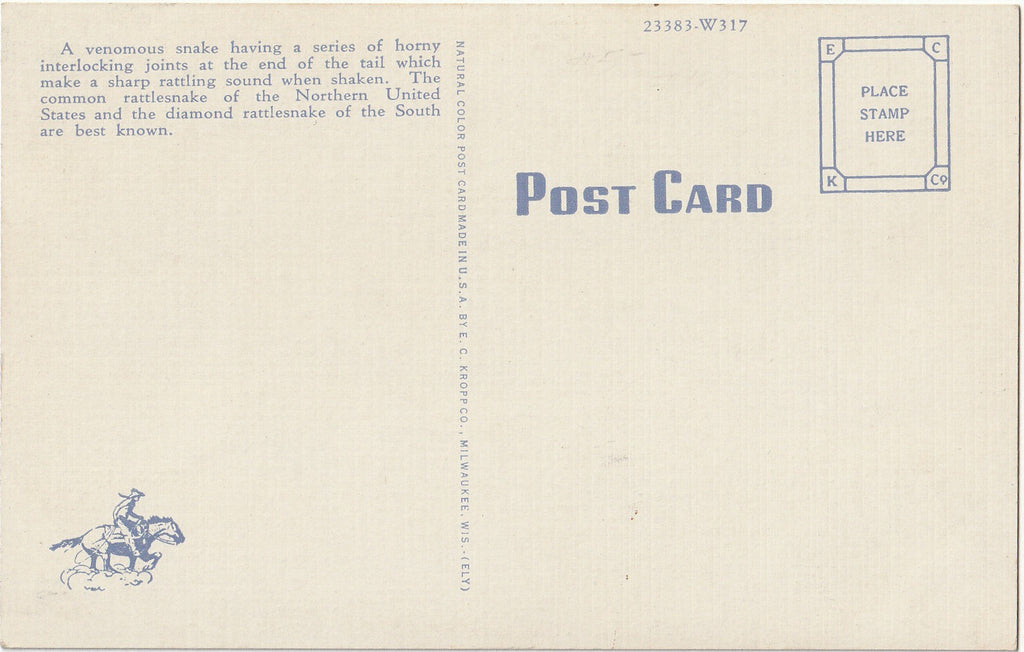A Lonesome Rattler - Rattlesnake - Postcard, c. 1940s