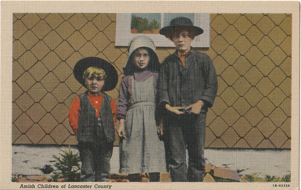 Amish Children of Lancaster County - Pennsylvania - Postcard, c. 1940s