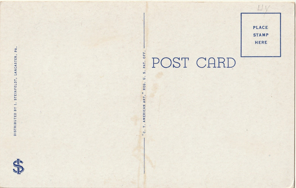 Amish Family - Lancaster County, Pennsylvania - Postcard, c. 1940s