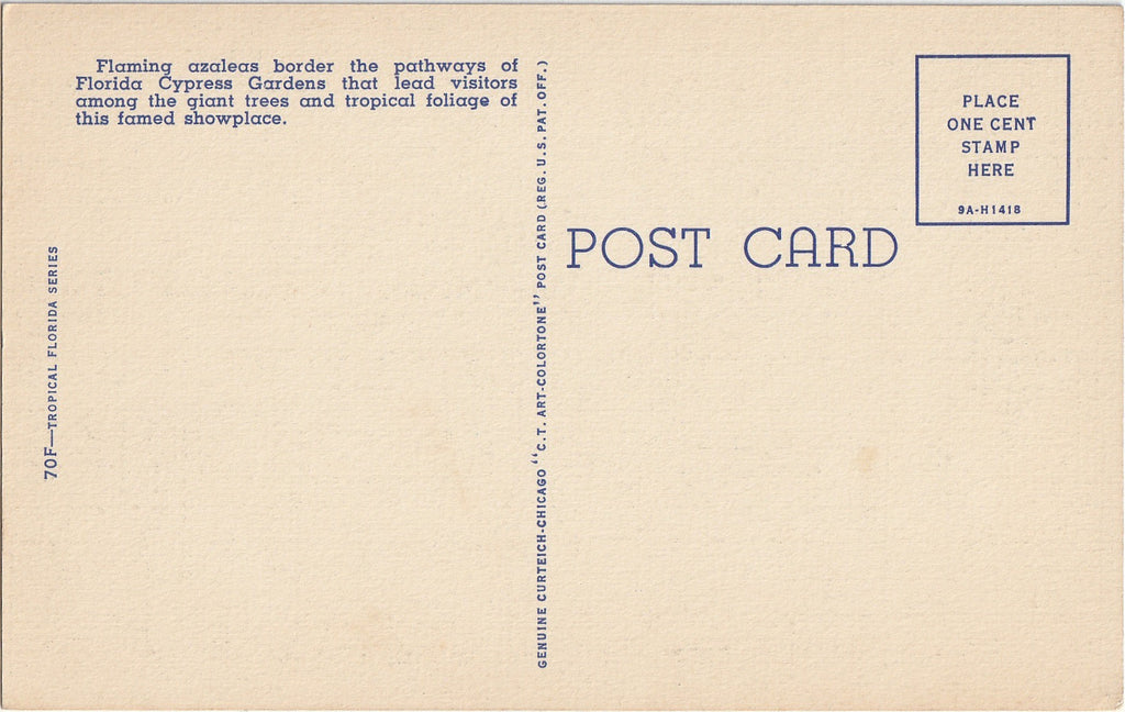 Azalea Time in Florida Cypress Garden - Postcard, c. 1940s