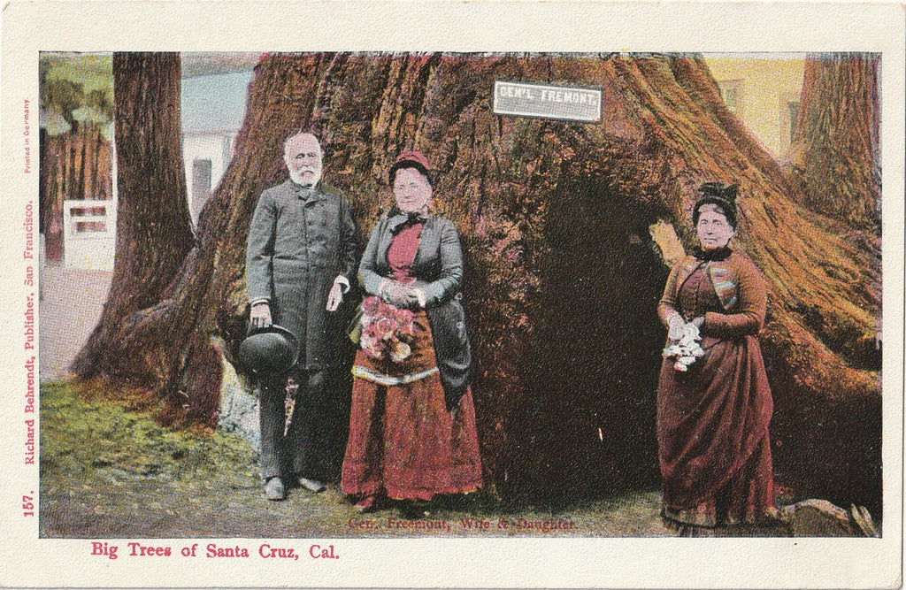 Big Trees of Santa Cruz - California Redwood Tree - General Fremont & Wife - Postcard, c. 1900s
