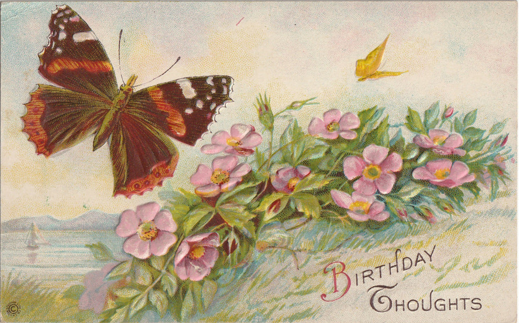 Birthday Thoughts - Butterflies and Flowers - Postcard, c. 1900s